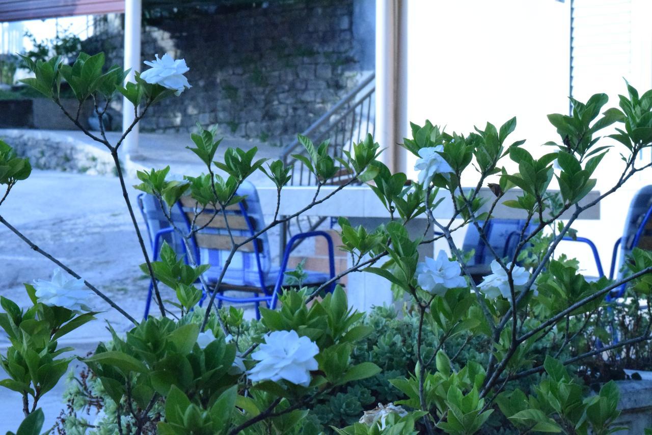 Apartment S&M Тиват Экстерьер фото